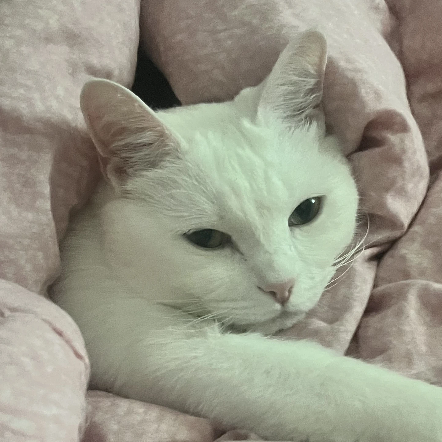 마루
