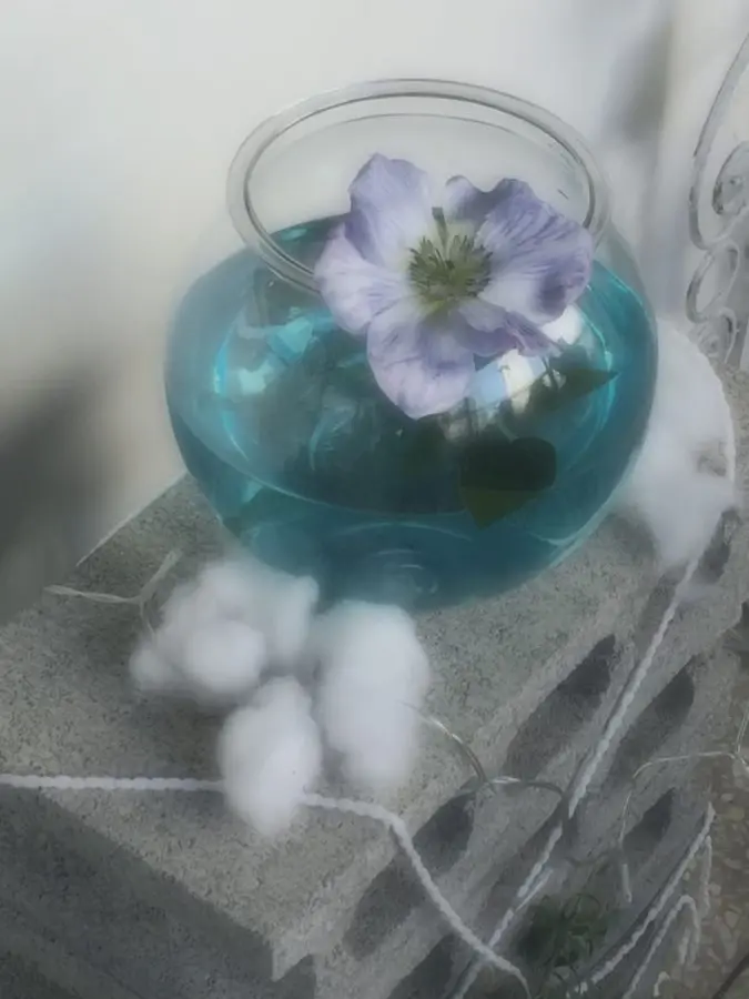 Sdrrrrj12의 [ 好きだよ。]