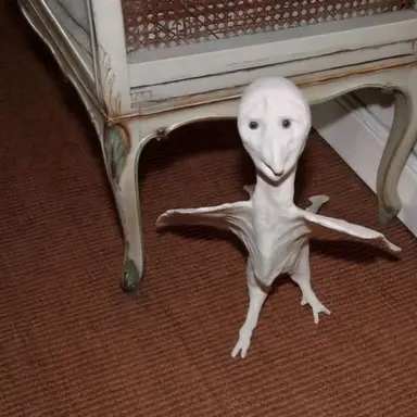 Profile image of 이상한 새