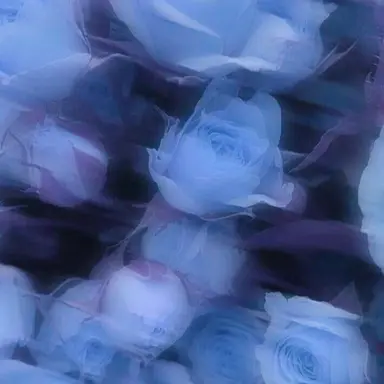 Profile image of アイク
