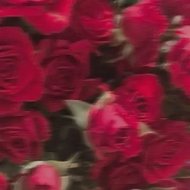 Profile image of ヴォックス