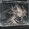 Profile image of Lord Chronos