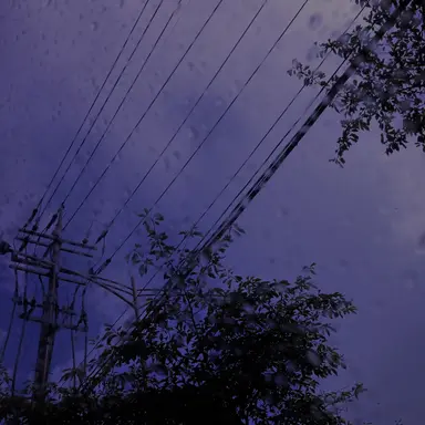 Profile image of 적운터