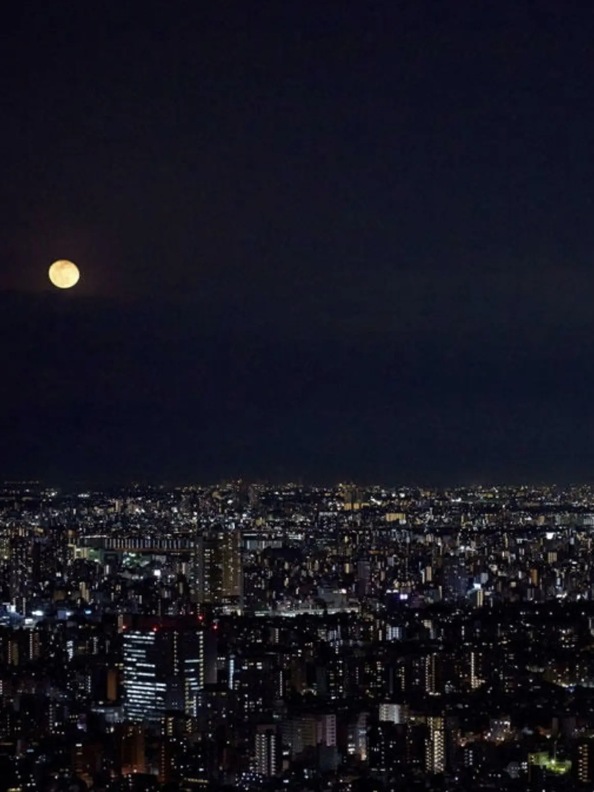 ars_fan.nino_0617의 月が綺麗な夜に、君の隣にいたい