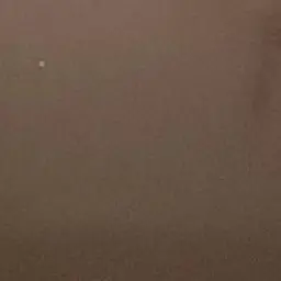 Profile image of 不死川実弥の父