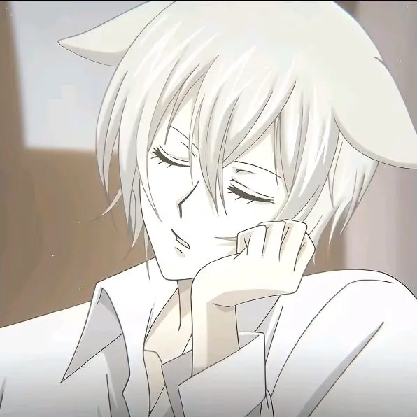 RoundStock9639의 토모에