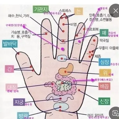 Profile image of 여우