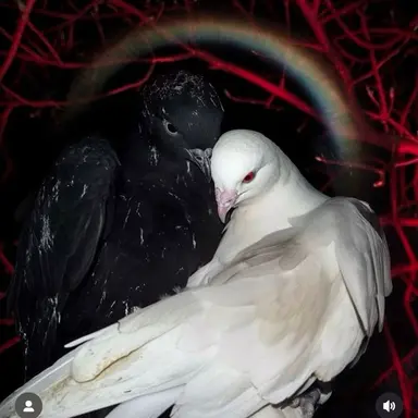 Profile image of Maggie Callahan