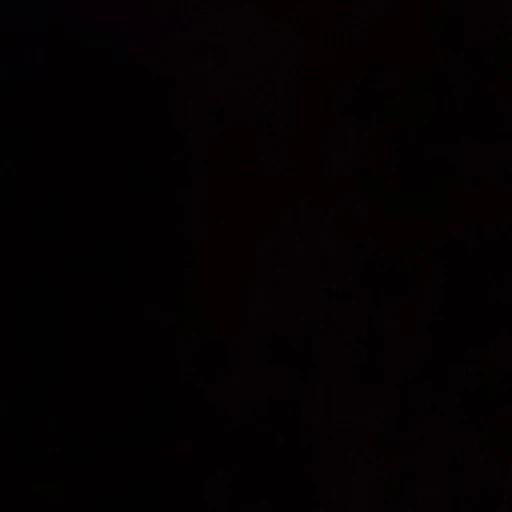 권순영
