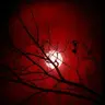 Profile image of Reverse Horror RPG