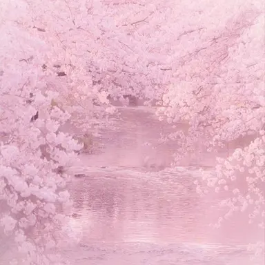 Profile image of 밥풀