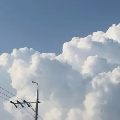 Profile image of 이로