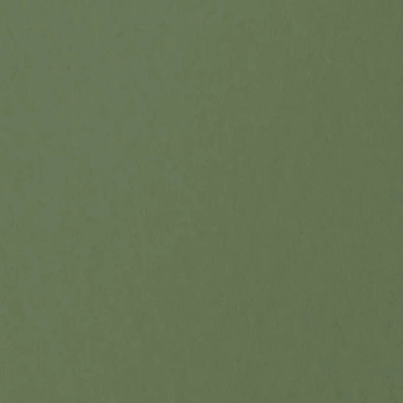 webtoon_의 백사헌