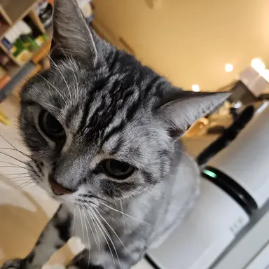 Profile image of 이시온