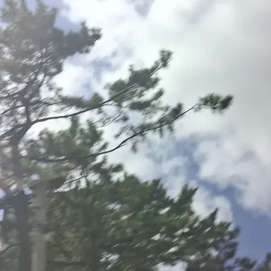 Profile image of 이지희