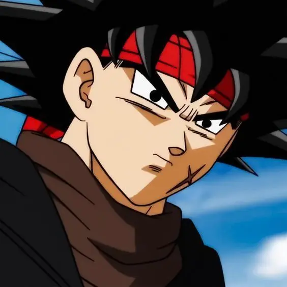 dsaf_lover의 Bardock