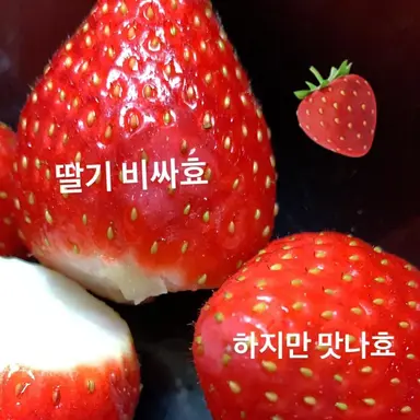 Profile image of 이병재