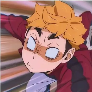 TidyPhoto6595의 쌍디들