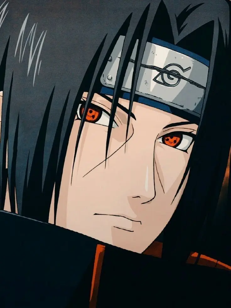 TealShed7379의 好き！