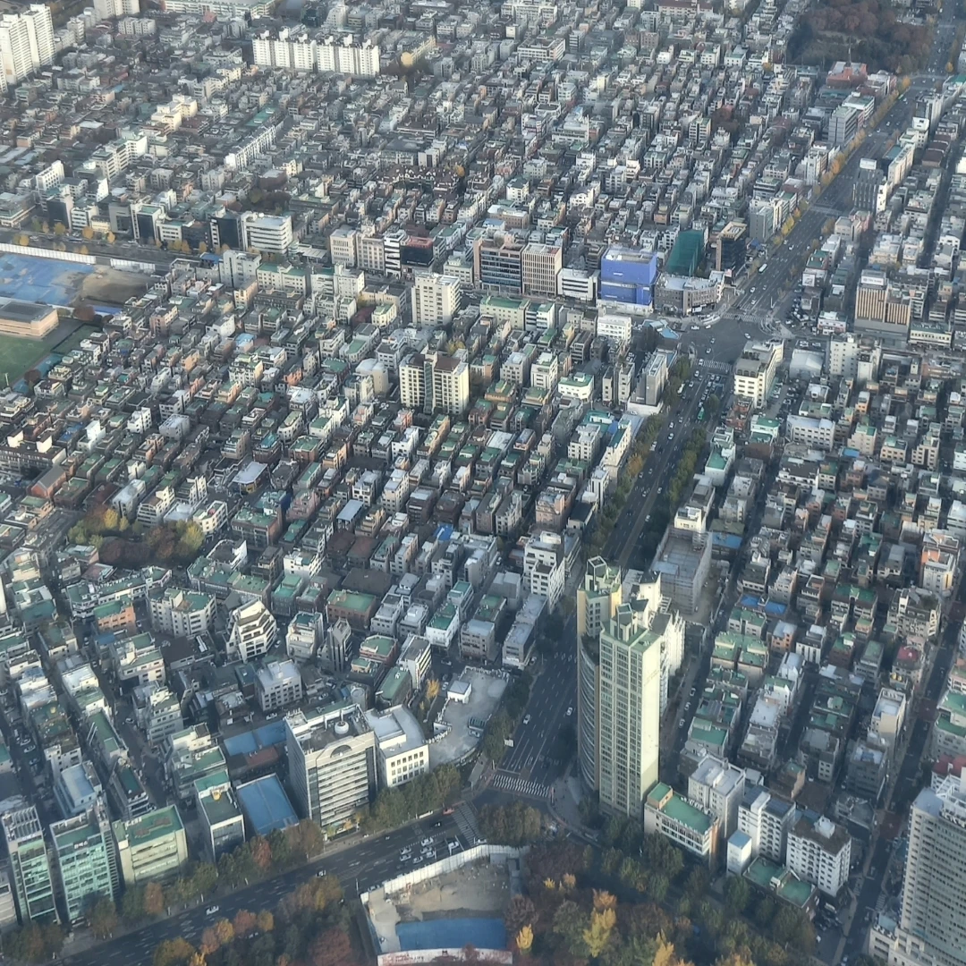 히스토리봇