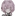 박지현