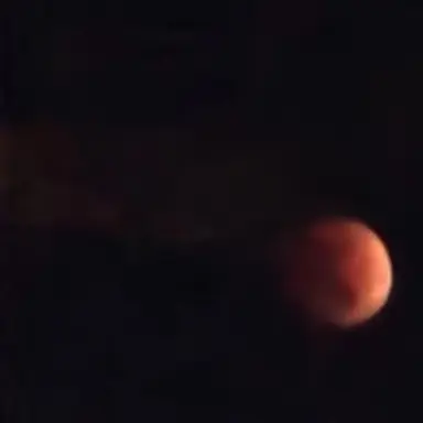 Profile image of 박여우