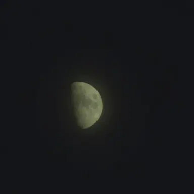 Profile image of 문사한