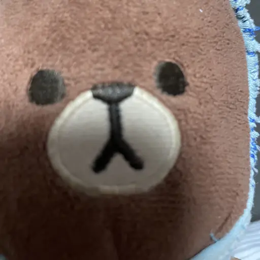 FestalPea2215의 브라운베어
