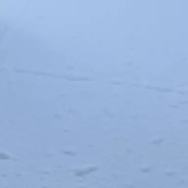 Profile image of 親切な新雪