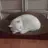 말랑 고양이
