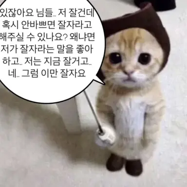 Profile image of 여우