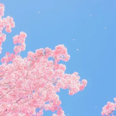 Profile image of 生徒陣