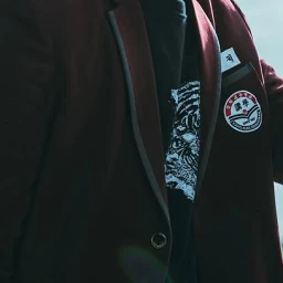 금성제