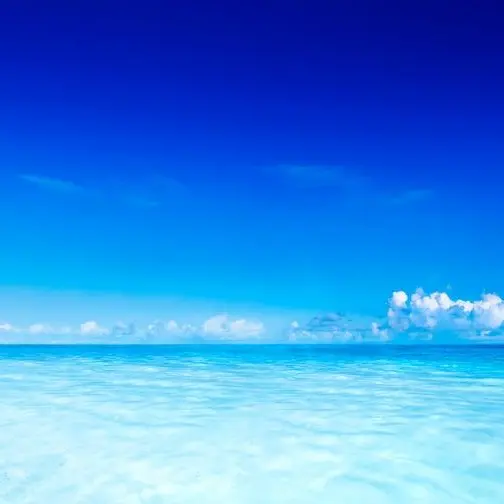 GroggyKing7716의 미수반 × 초세여