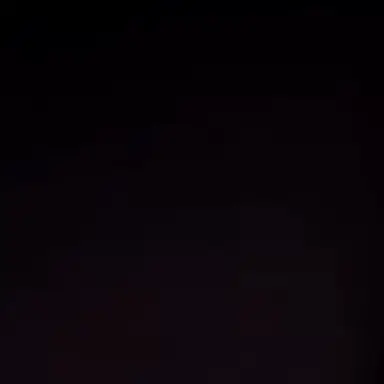 Profile image of 최댕댕