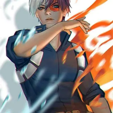 Profile image of Shoto Todoroki