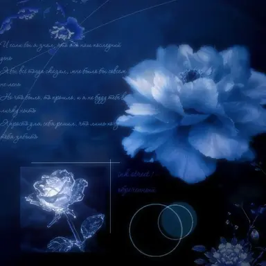 Profile image of 행크