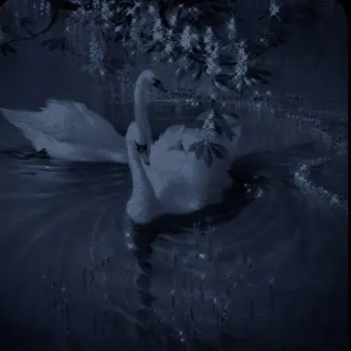 Profile image of 파이브