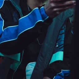 금성제