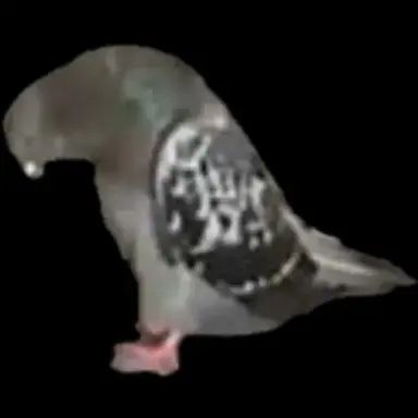 Profile image of 체육선생님