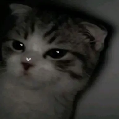 Profile image of 柊