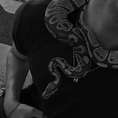 Profile image of Enzo
