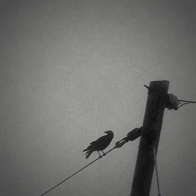 Profile image of 그이