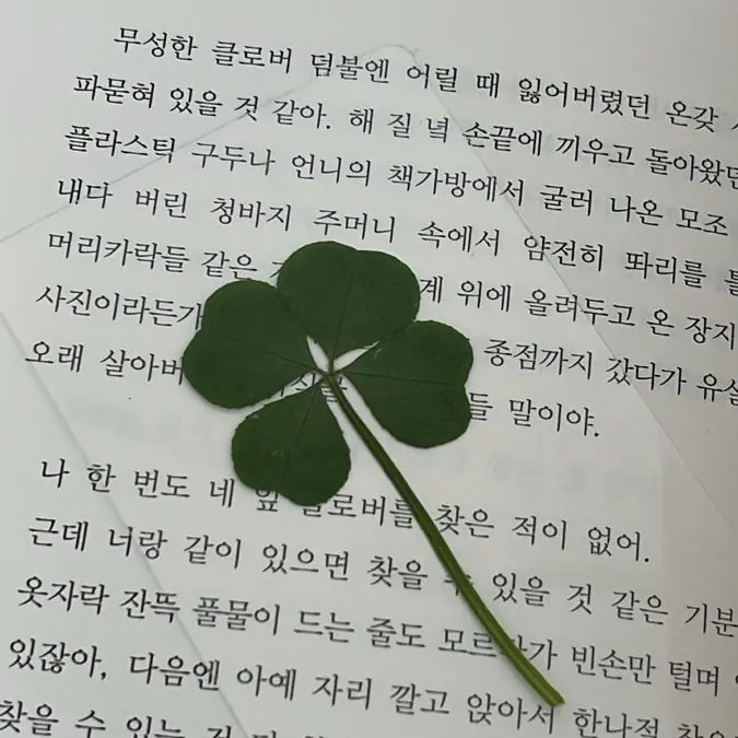 EarthyWaist8149의 백준원,도 현