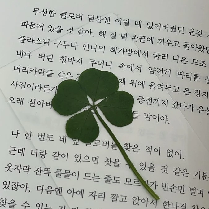 백준원,도 현