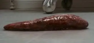 NarrowVase2411의 Gula the Fattening Slug