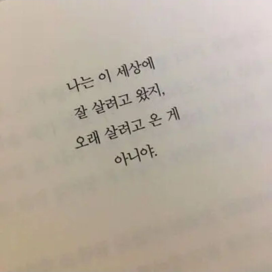 팀나빠 애교?? 대표 이미지