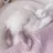 ドヨン