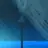 린저 쿠키