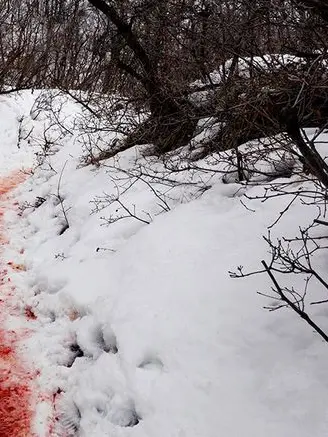 hghhhhyyy의 ○o。.